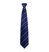 BT003 order business tie suit tie stripe collar manufacturer back view